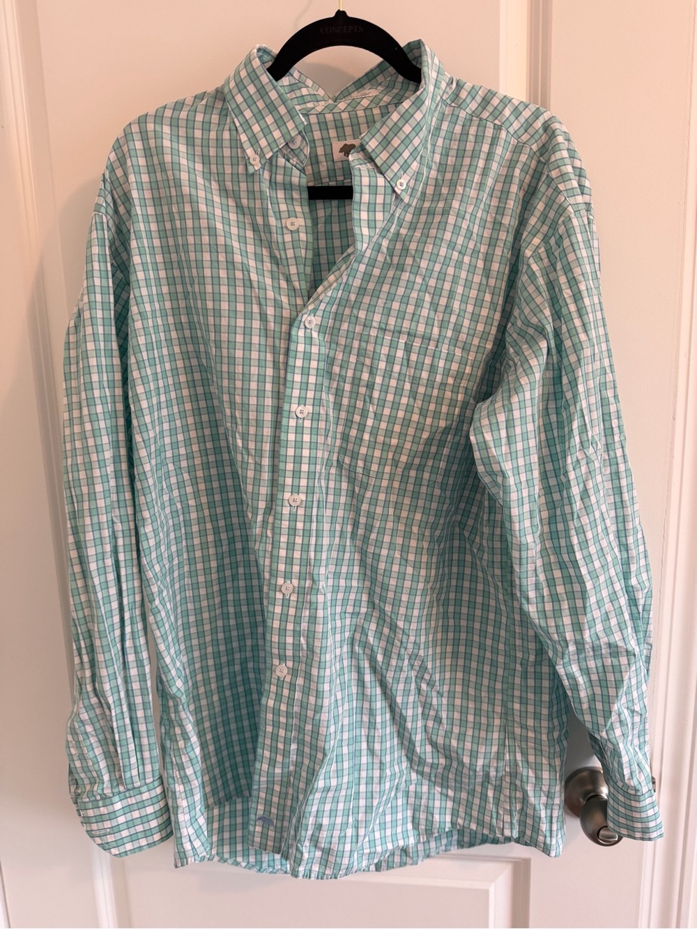 Button-Down Plaid Casual Shirt in Mint Green